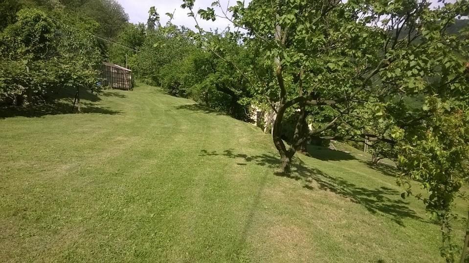 Fattoria Del Pino Panzió Orta San Giulio Kültér fotó