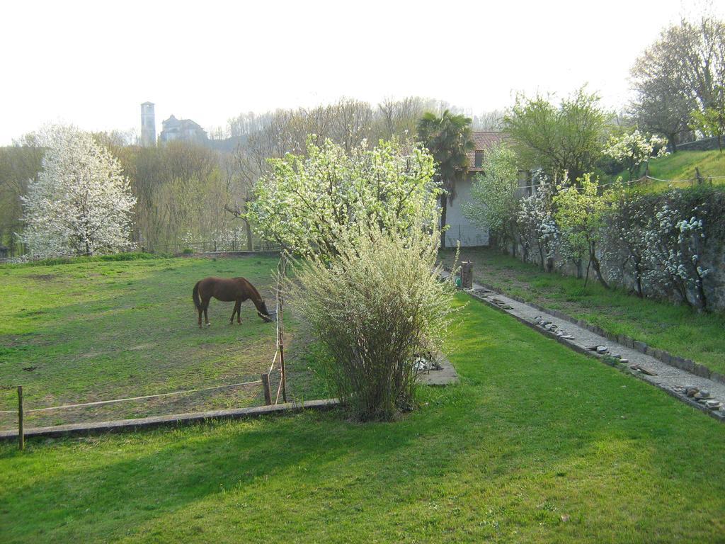 Fattoria Del Pino Panzió Orta San Giulio Kültér fotó