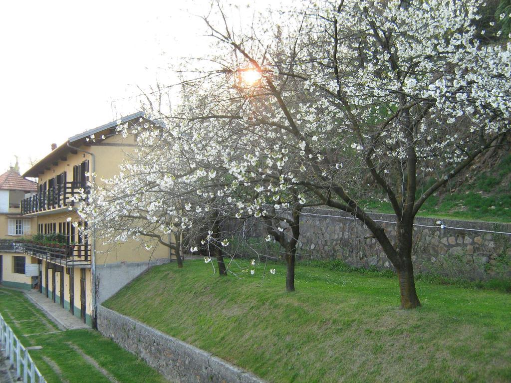 Fattoria Del Pino Panzió Orta San Giulio Kültér fotó